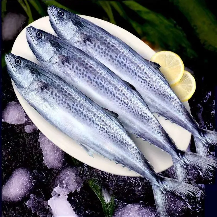 【到手5斤 JD包邮】渤海湾鲜活速冻燕鲅鱼马鲛鱼300-400g/条