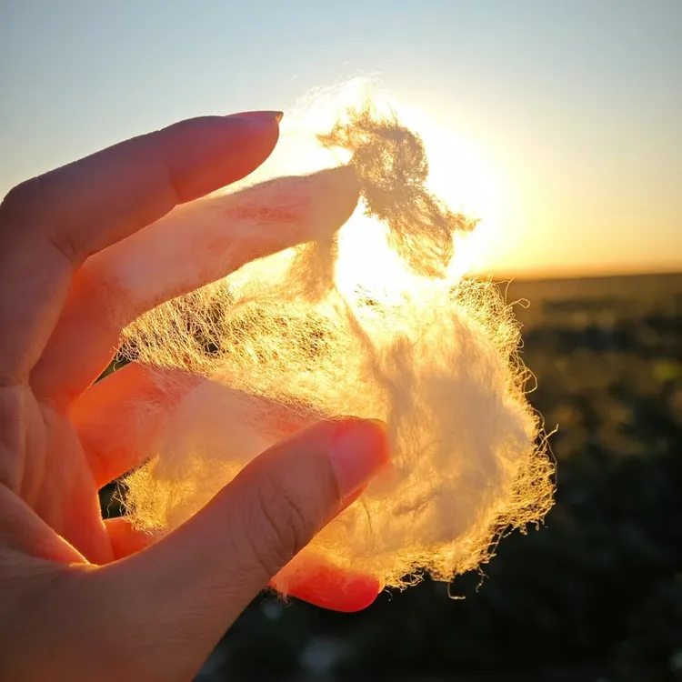 新疆溯源棉花被100%全棉纯棉花棉被新疆棉家用纯手工制作四季通用