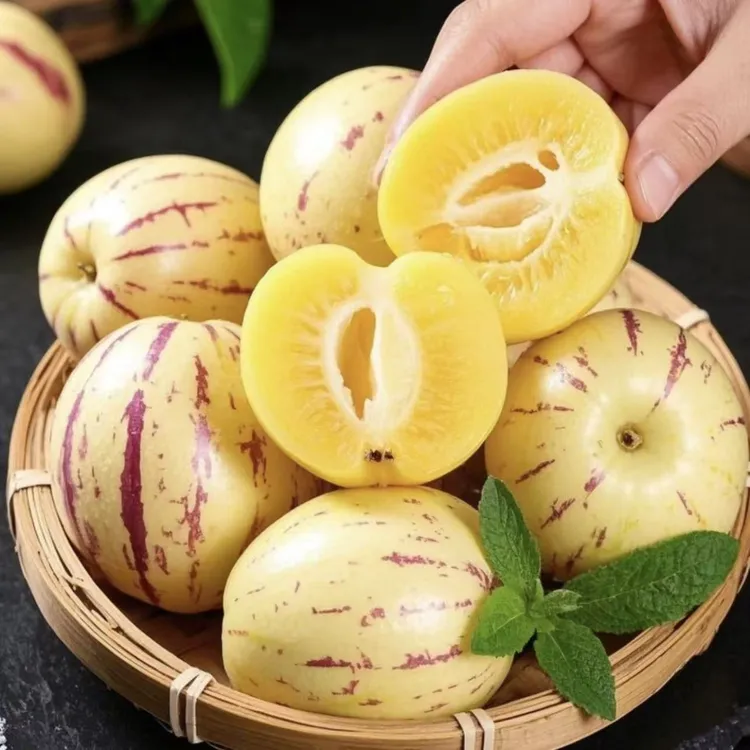 人参果树上自然成熟黄肉圆果清甜多汁当季水果