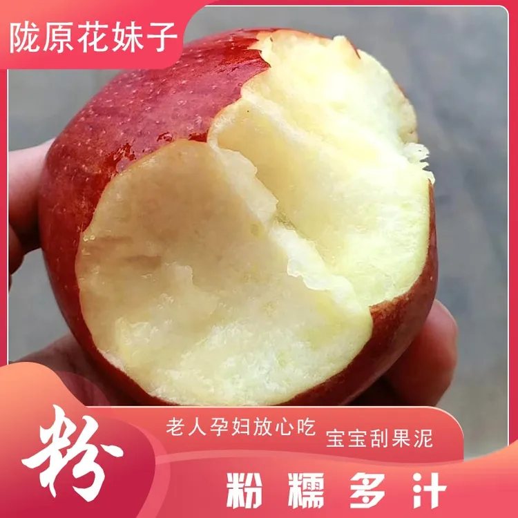 红香蕉苹果红元帅花牛苹果甘肃会宁砂地种植粉面沙甜香果园直发