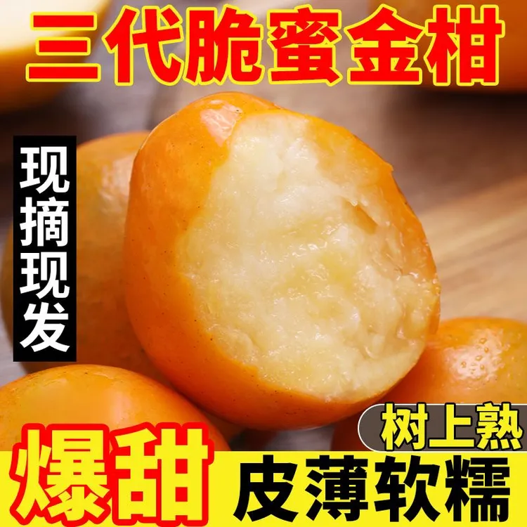 【糖果袋】正宗广西融安脆蜜金桔纯甜新鲜水果