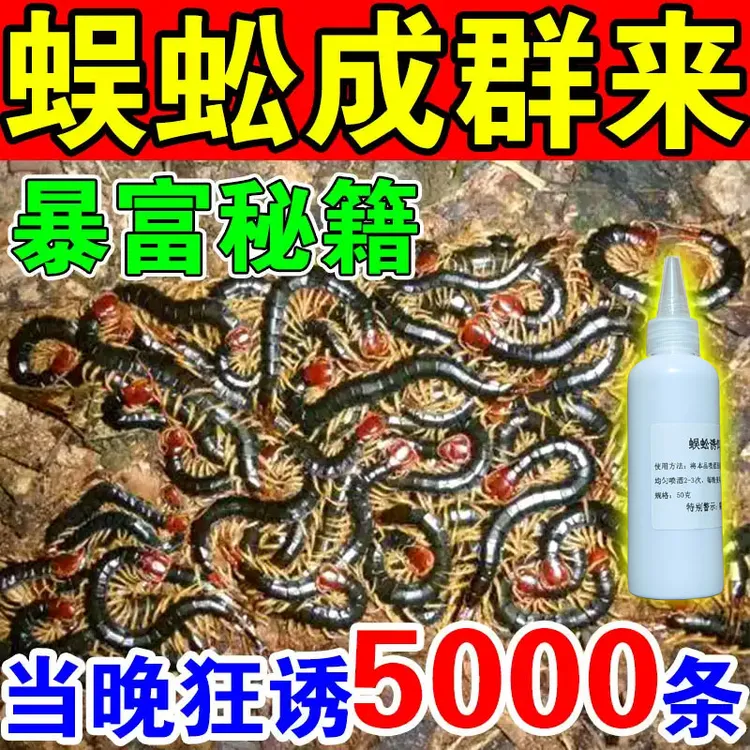 抓蜈蚣神器【当晚来蜈蚣】户外活虫诱捕捉专用诱食粉剂诱蜈蚣饵料
