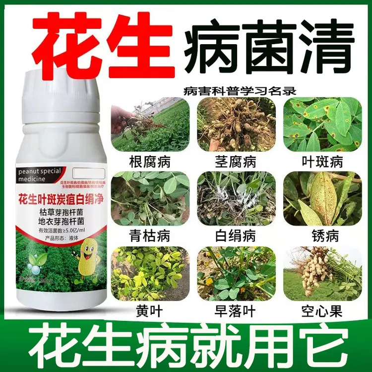 花生白绢病正品叶斑病死苗烂根黑斑病锈病根腐病正品花生叶斑炭疽