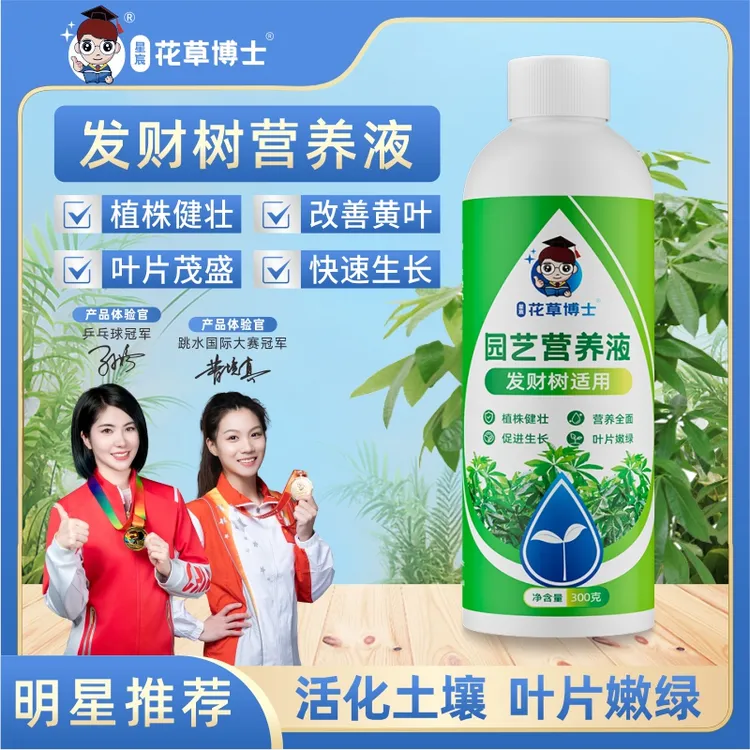 发财树适用正品植物营养液家用花卉绿植水培生长园艺植物营养肥料商品图