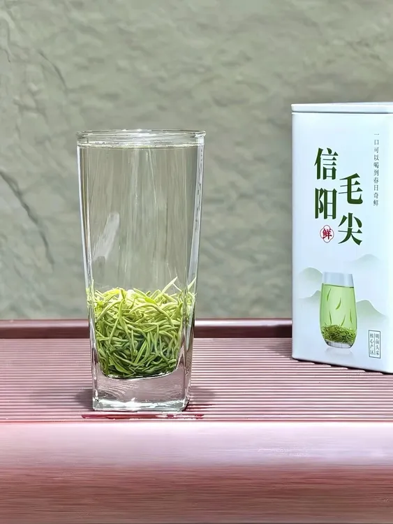 2024信阳毛尖 明前小芽 清香甘甜 传统炒制工艺