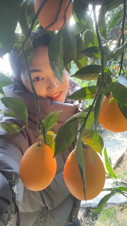 fjqch/奉节脐橙正宗奉节脐橙5斤，新鲜带叶优惠价