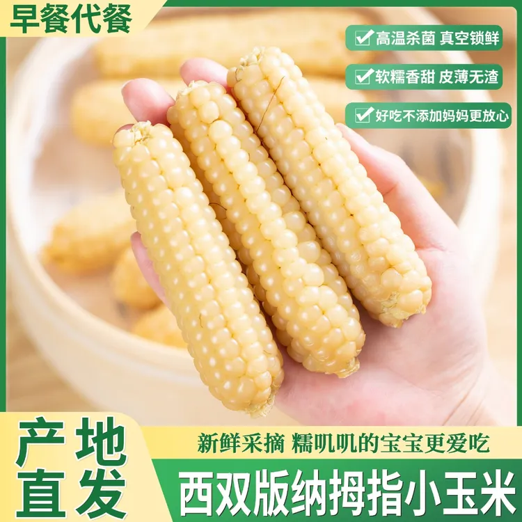 云南西双版纳拇指玉米香糯傣家甜黏手指玉米正宗拇指玉米宝宝早餐