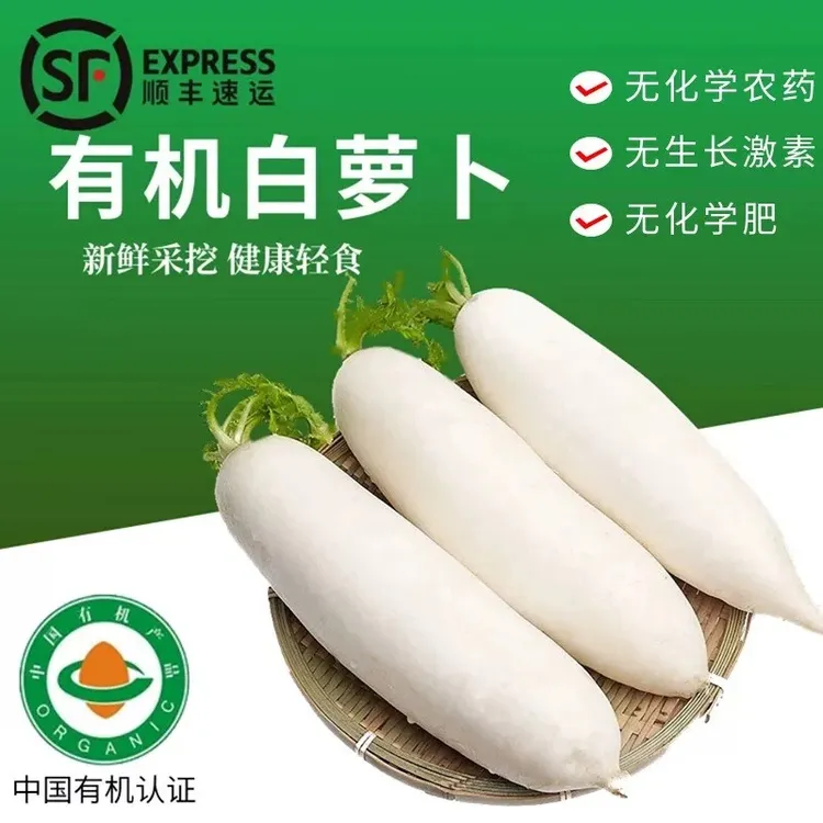 云南南华有机白萝卜高山种植无农残健康轻食新鲜新鲜萝卜