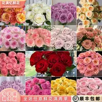 次日达-【随机单色玫瑰】10枝随机玫瑰单色鲜花批发直播任意两单升级顺丰包邮三单送随机花瓶一个cc