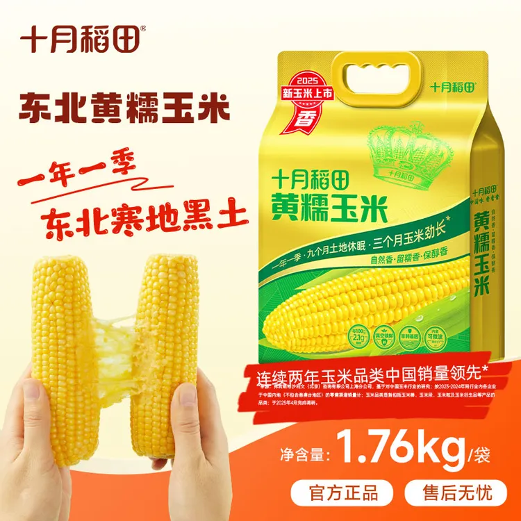 粗粮轻食十月稻田黄糯白糯黑糯玉米香甜糯东北黏苞米早餐食材夜宵