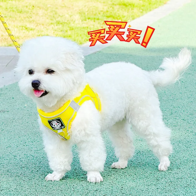 背心式狗狗牵引绳小型犬比熊犬泰迪博美小狗宠物胸背带遛狗牵引绳