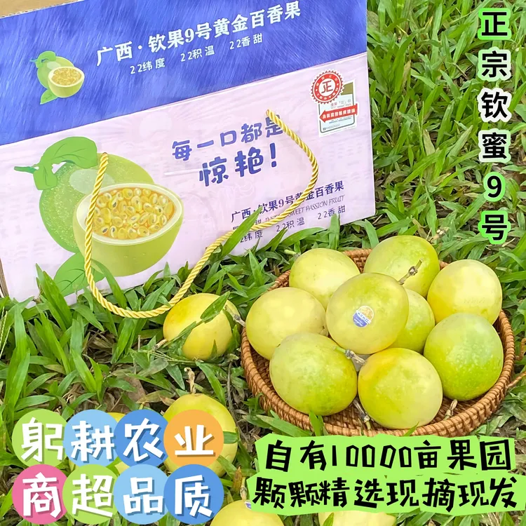 【新粉试吃 交个朋友】正宗钦蜜9号百香果 现摘现发中通包邮