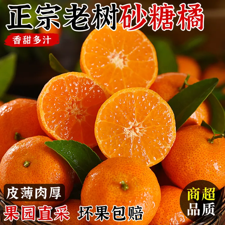 广西砂糖橘新鲜当季整箱水果9斤装沃正宗金秋沙糖蜜桔小柑橘桔子