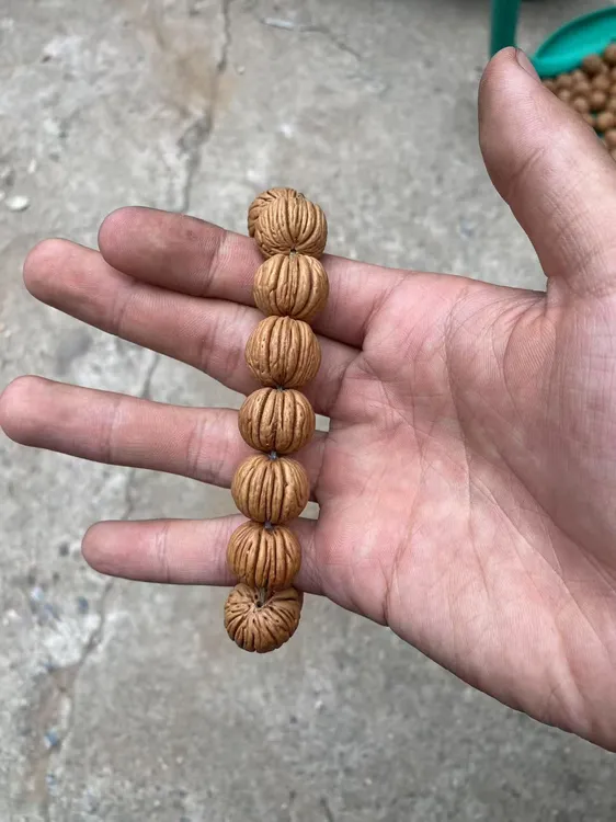 太行山脉纯野生正园竖纹桃核福利尺寸随机