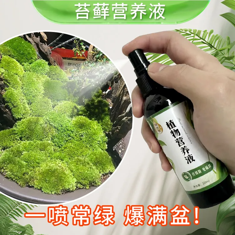 苔藓青苔植物专用营养液催生孢子防枯假山铺面微景观