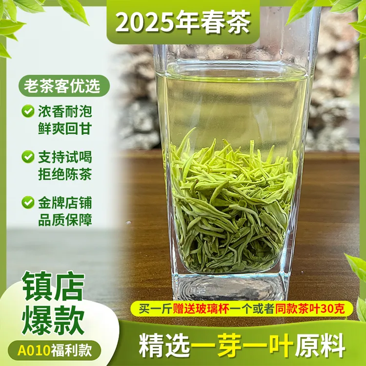 【A010 浓香耐泡  蒙顶山毛峰】25年新茶 高级阳光茶 散装一级绿茶