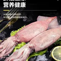 【鑫鑫专属】威海特产渤海湾原浆真鱿鱼4斤