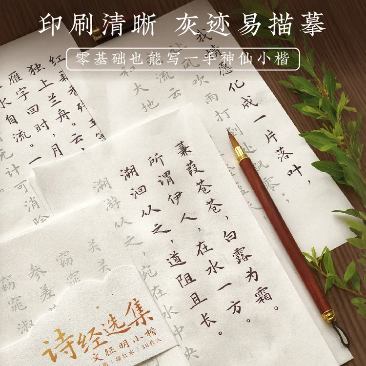 文征明小楷楷书软笔竖排抄写临摹字帖练字修身养性李清照苏轼诗词