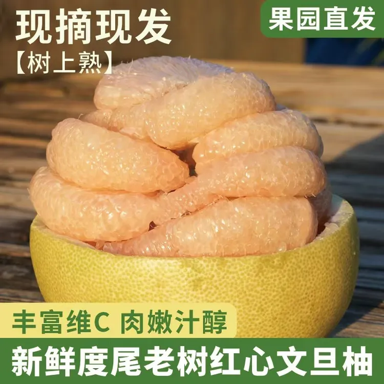 精品正宗仙游度尾文旦柚新店福利款30年老树红心柚子当季孕妇水果