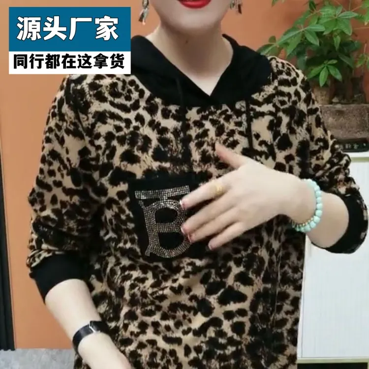 梵乐芬洋气连帽卫衣女长袖2025春秋新款宽松显瘦上衣百搭休闲女士