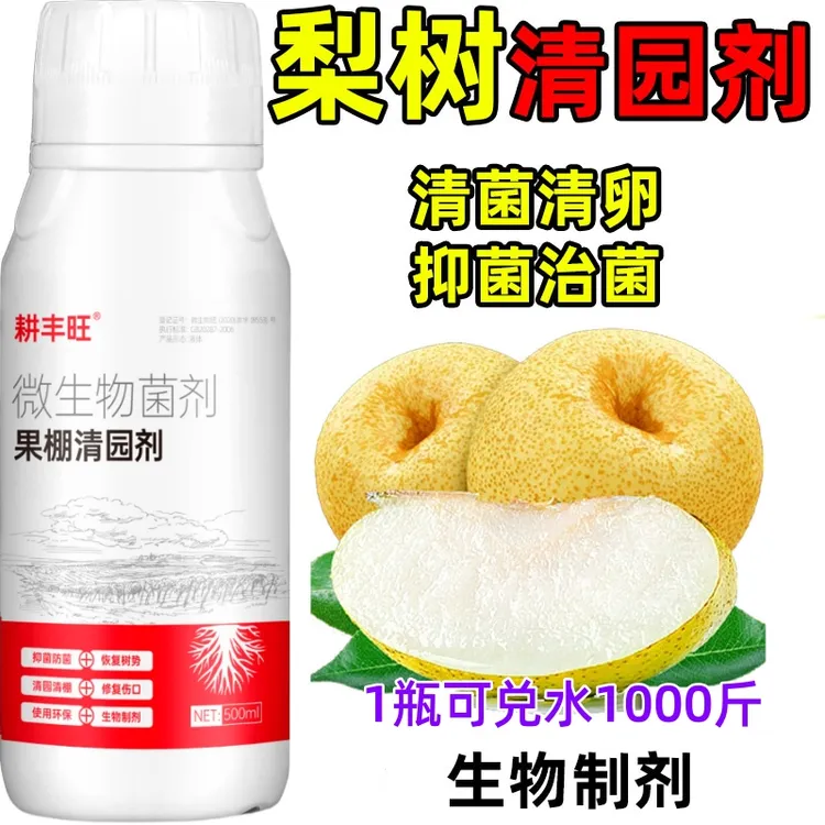 梨树清园剂微生物菌剂安全环保杀菌消毒清园清棚梨子清园药清满园
