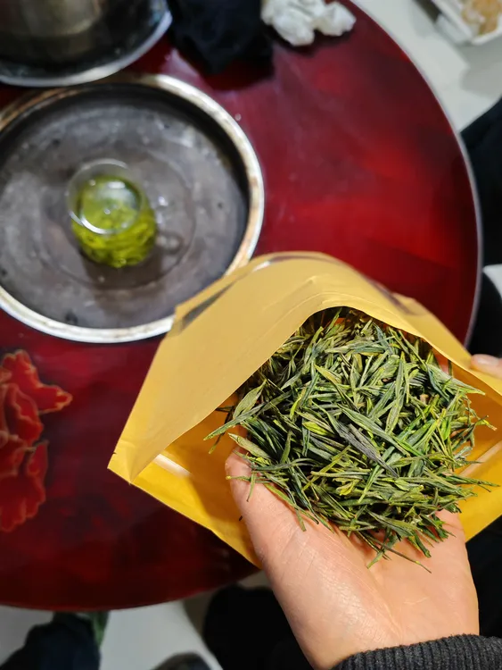 陇南康县高山绿茶一芽二叶翠竹