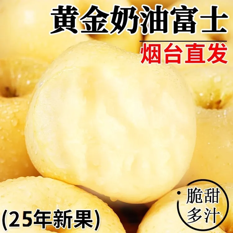 头茬山东烟台奶油富士苹果新鲜采摘脆甜多汁应季水果美味