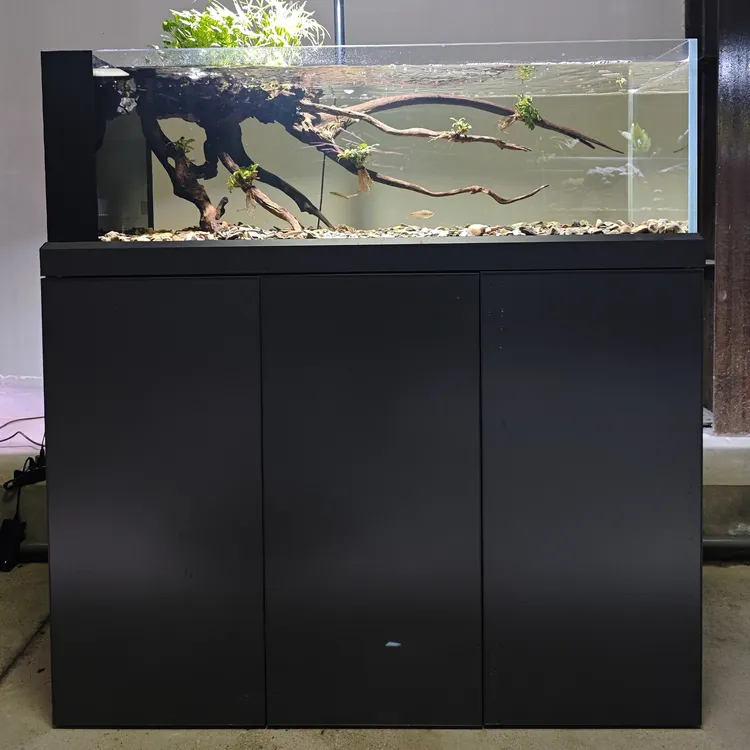 OBLONG新款现代风溪流缸底滤缸超白玻璃测溢流干湿分离水族箱草缸