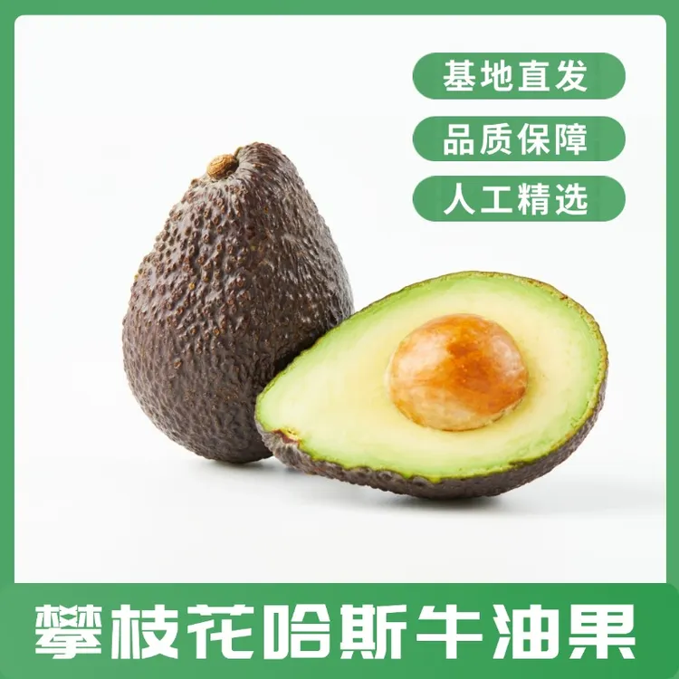 [哈斯牛油果]产地直发优质牛油果，爱美人士和宝宝优选，醇香绵密！