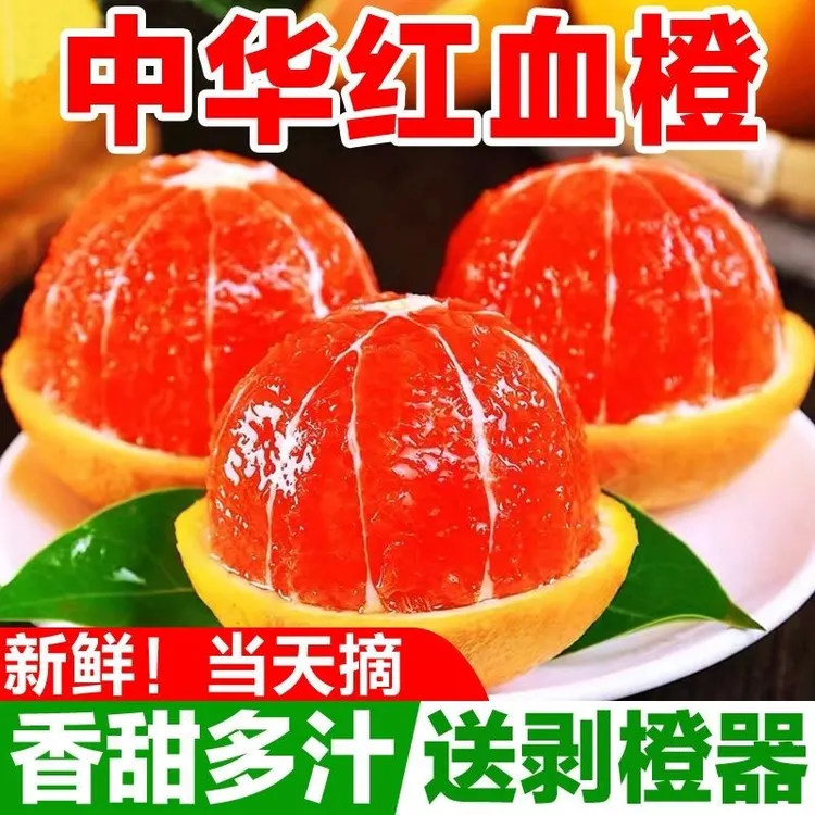 【吃红橙-走鸿运】当季现摘秭归中华红橙血橙红心橙子甜蜜多汁