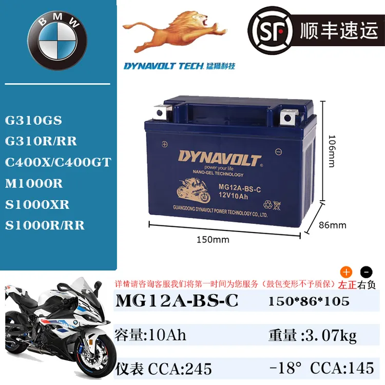 宝马水鸟油鸟、100RR、1250GS、1200RT、R18等车型适配猛狮摩托车电瓶