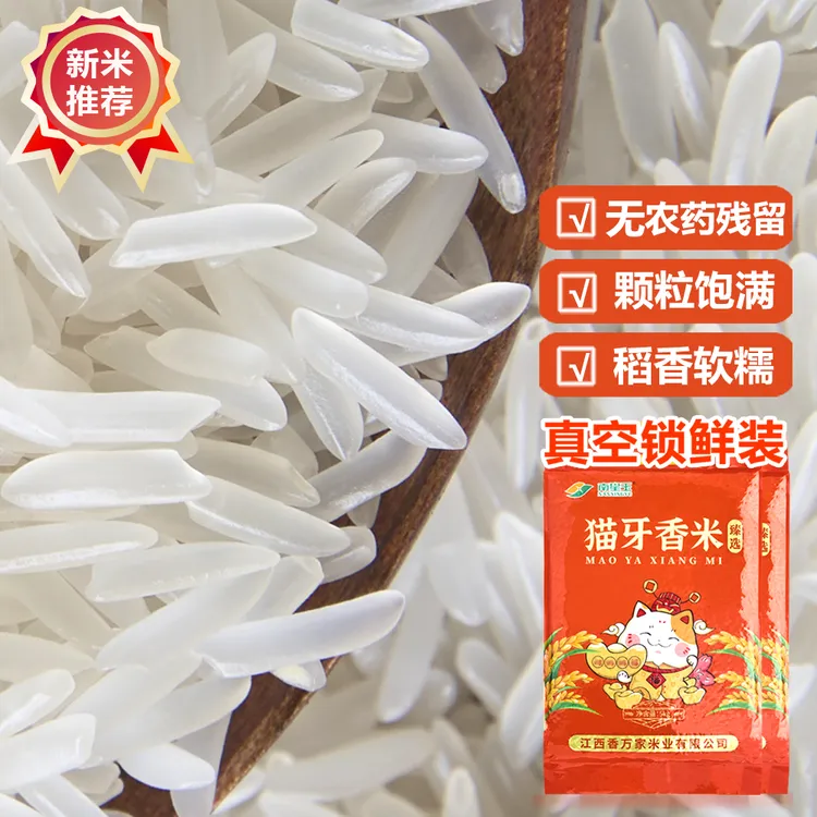 正宗猫牙米长粒香大米南方超长2025新米农家丝苗米煲仔饭专用真空
