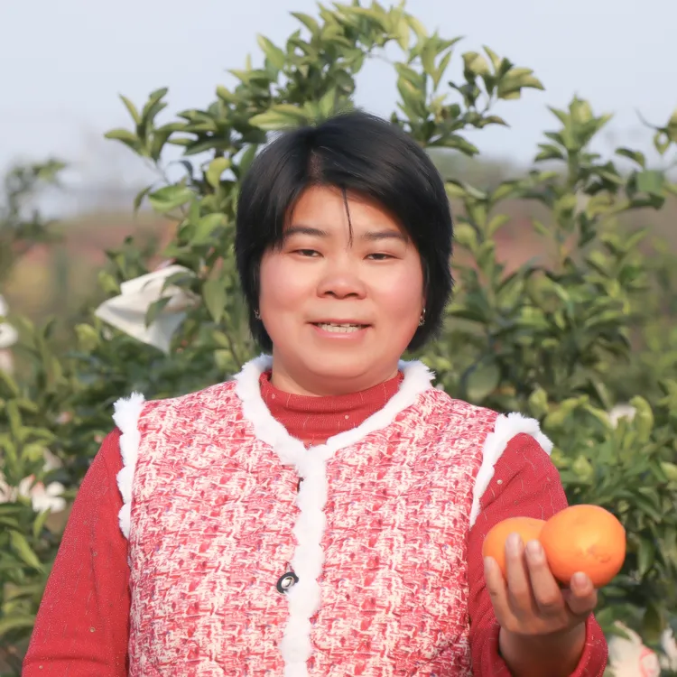 武胜大雅柑橘，口感更好，汁水丰富，入口化渣