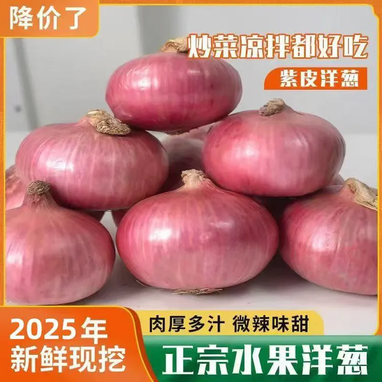 （坏果包赔）现挖现发水果扁洋葱2025可以生吃的甜洋葱紫皮圆葱头