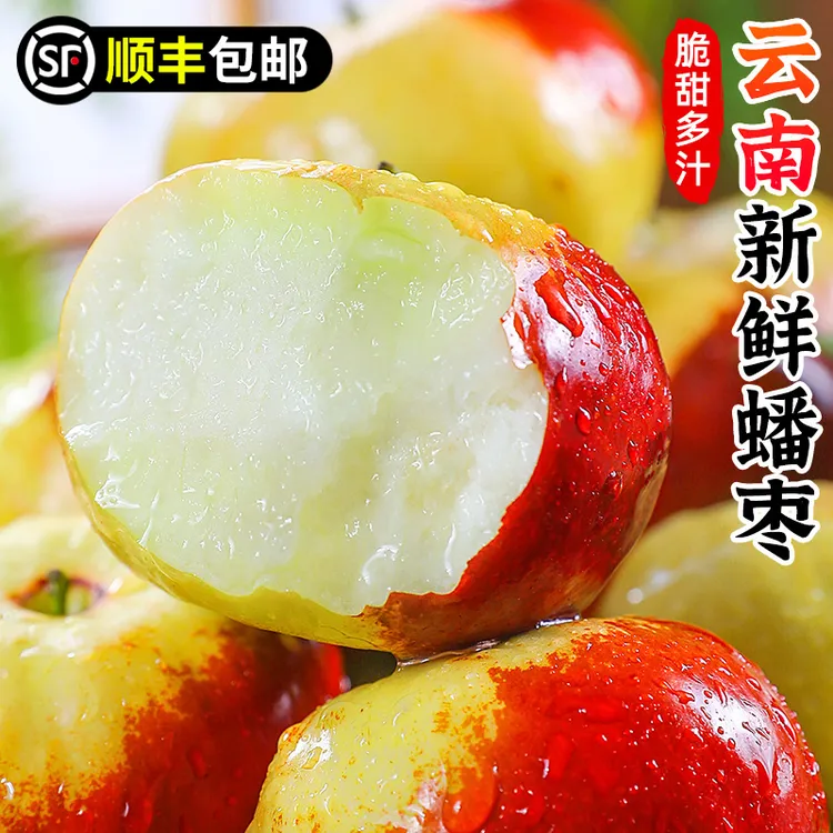 【顺丰包邮】云南新鲜蟠枣1-4斤枣子青枣脆枣红枣皮薄肉厚鲜枣水果