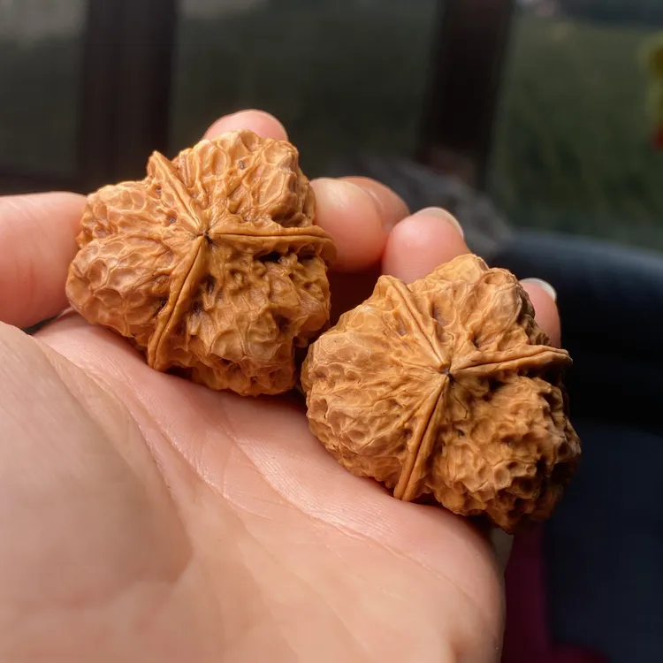 云铁名款 蛤蟆头三棱 款式可选