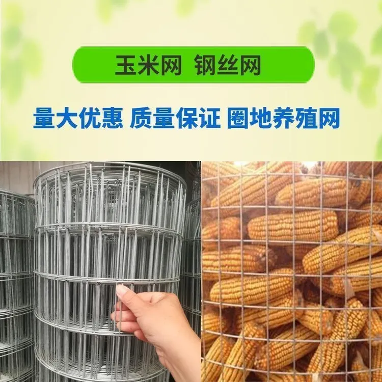 镀锌电焊铁丝网围栏用于圈玉米养殖鸡笼防护网