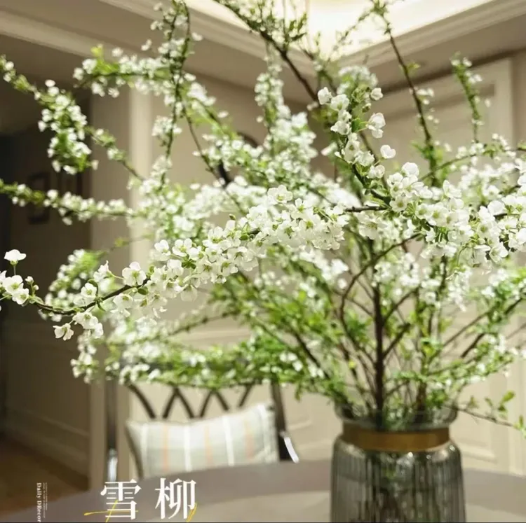 【新疆包邮】雪柳鲜枝干枝盆栽水培植物花卉室内遇水开花