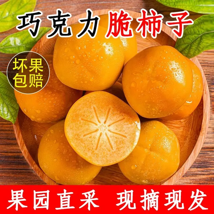 FG 现摘正宗阳丰脆柿新鲜巧克力脆柿子 坏果包赔 纯甜不涩口香甜