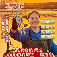 【活蟹赏味】公4.5两*2只送母蟹3.5两*2只到手4只扁担姐大闸蟹