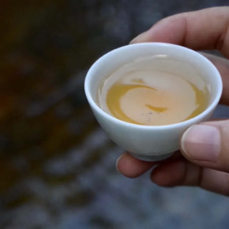 荒野老丛奇种 | 武夷岩茶“此中有真味”