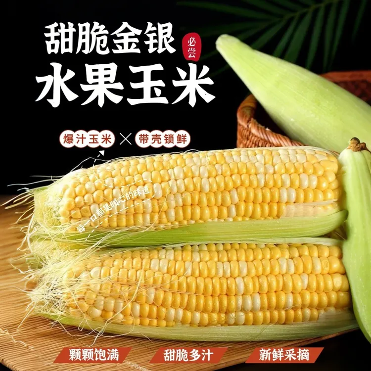 【水果玉米】云南水果玉米农家现摘新鲜甜玉米甜脆爆汁黄金水果玉米