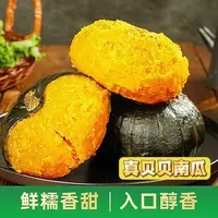 沙地贝贝内蒙粉糯香甜板栗味内贝贝小南瓜辅食粗粮代餐