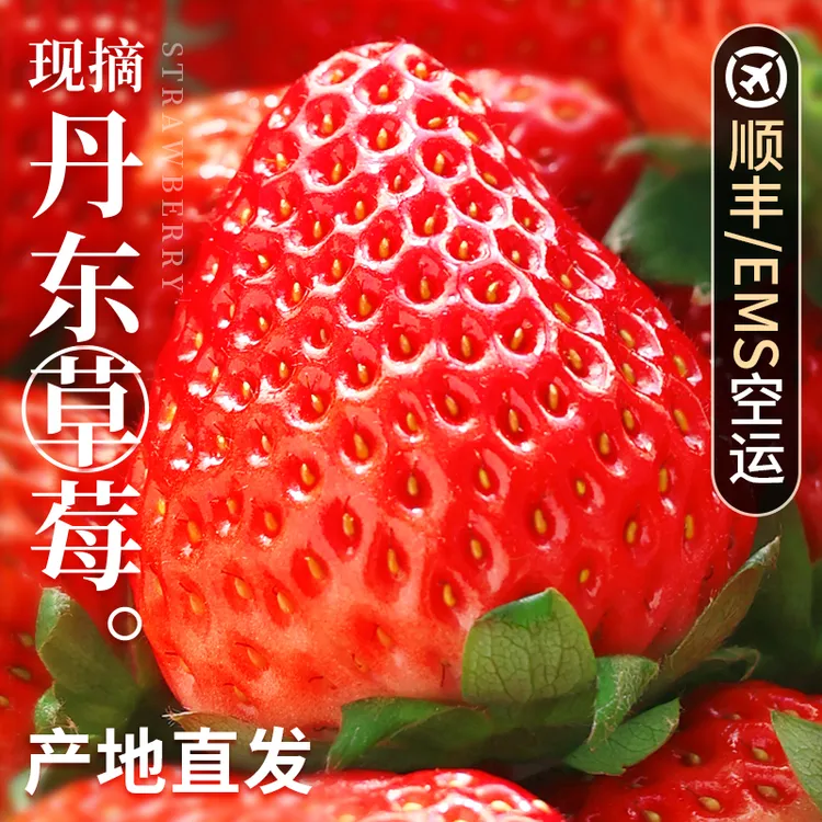 丹东99草莓新鲜水果应当季红颜奶油现货九九牛奶大整箱3顺丰包邮