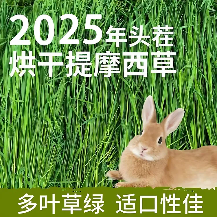 25年新草【烘干提摩西草】国产北提提摩西干草兔子草荷兰猪主食