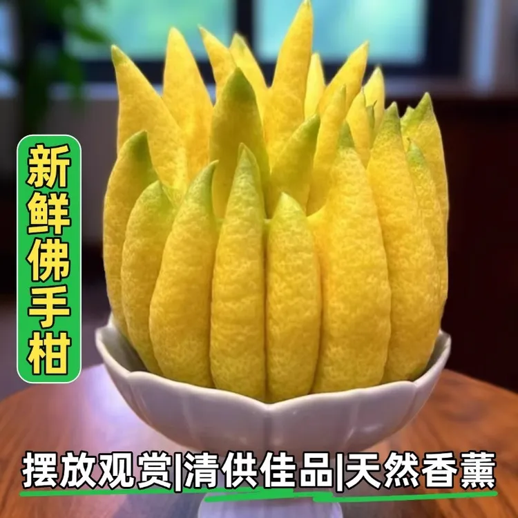佛手柑水培植物鲜果桌面闻香可食用观赏摆件室内水养绿植新鲜现摘
