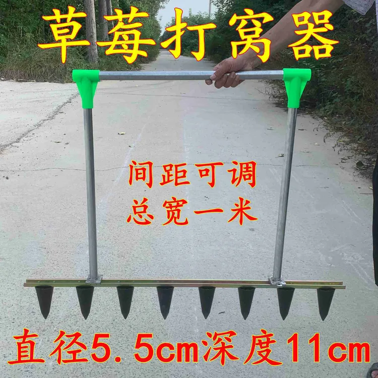 草莓栽苗神器打孔器打窝器定植移栽机农用工具种植草莓打眼打洞器