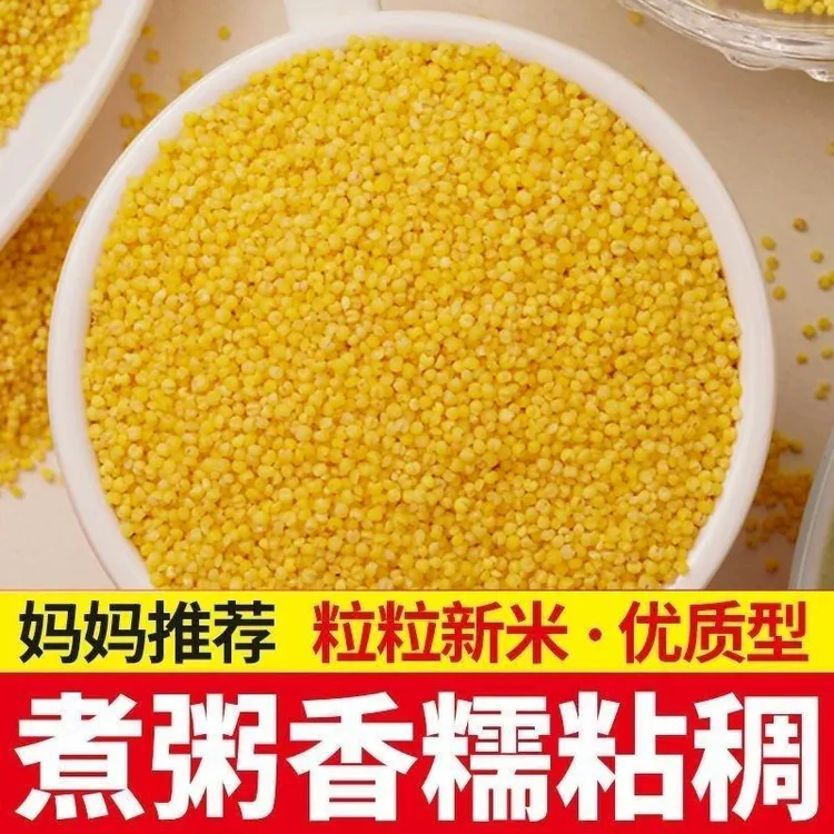 山西黄小米月子米五谷杂粮米糯小米农家黄米当季新粮