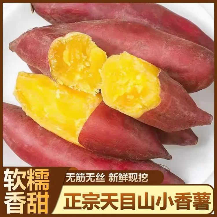 杭州小香薯天目山小香薯新鲜现挖沙地软糯香甜黄心板栗味番薯