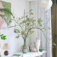 AA级山归来青果高品质小众鲜切花-顺丰包邮